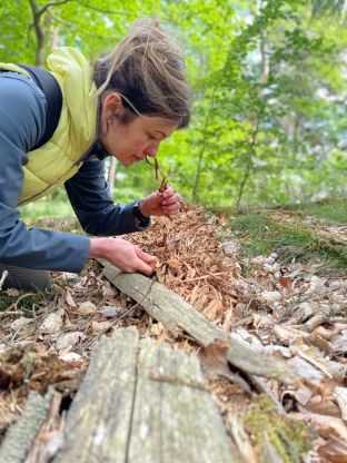 Waldbaden Achtsamkeitsübungen